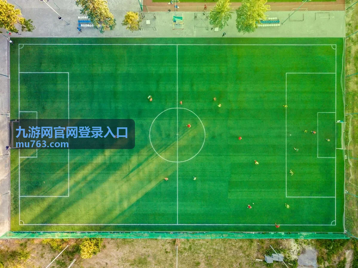 九游网官网登录入口游戏礼包与会员权益展示