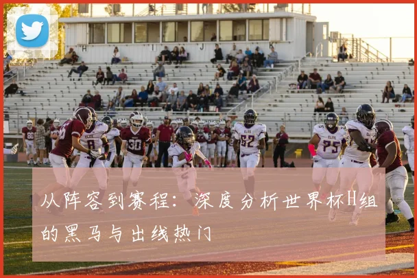 从阵容到赛程：深度分析世界杯H组的黑马与出线热门