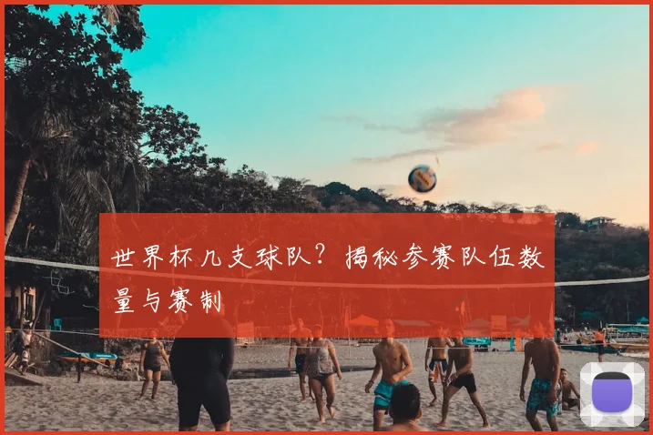世界杯几支球队?揭秘参赛队伍数量与赛制
