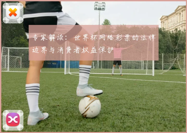 专家解读：世界杯网络彩票的法律边界与消费者权益保护