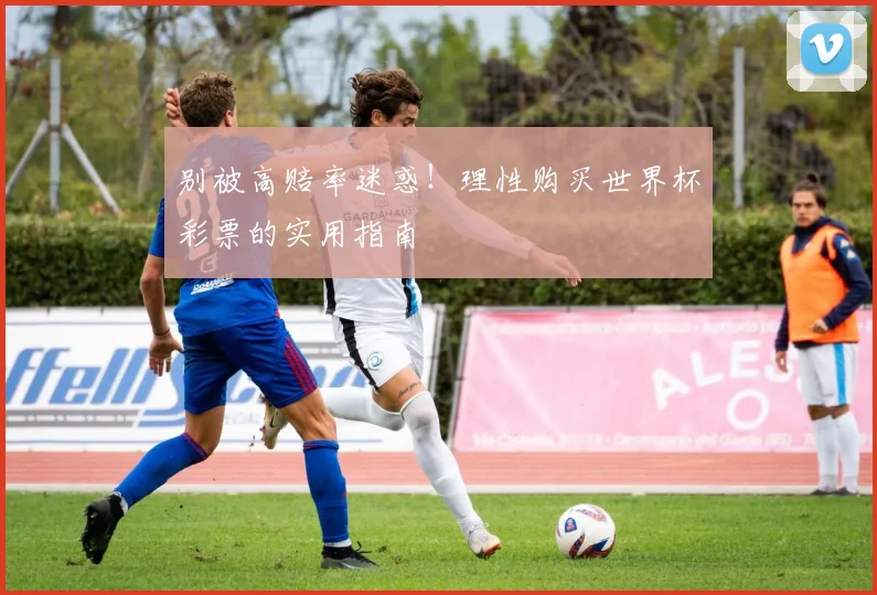 别被高赔率迷惑!理性购买世界杯彩票的实用指南