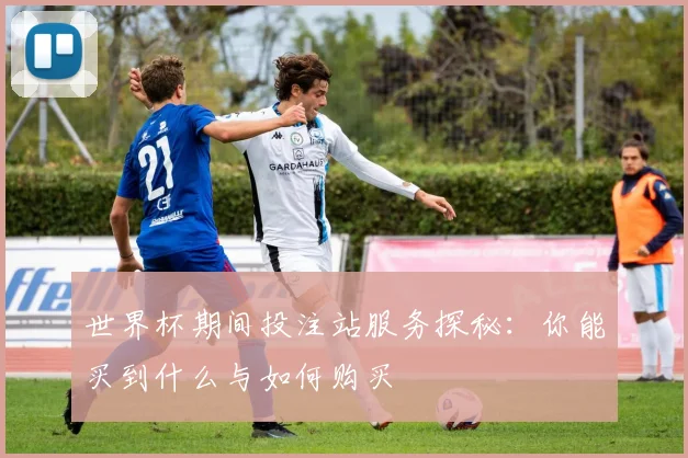 世界杯期间投注站服务探秘：你能买到什么与如何购买