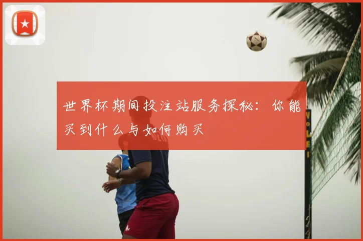 世界杯期间投注站服务探秘：你能买到什么与如何购买