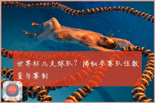 世界杯几支球队?揭秘参赛队伍数量与赛制