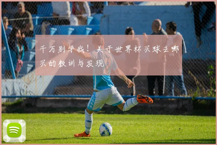 千万别学我!关于世界杯买球去哪买的教训与发现