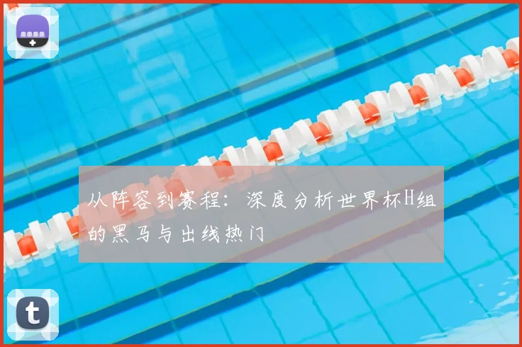 从阵容到赛程：深度分析世界杯H组的黑马与出线热门
